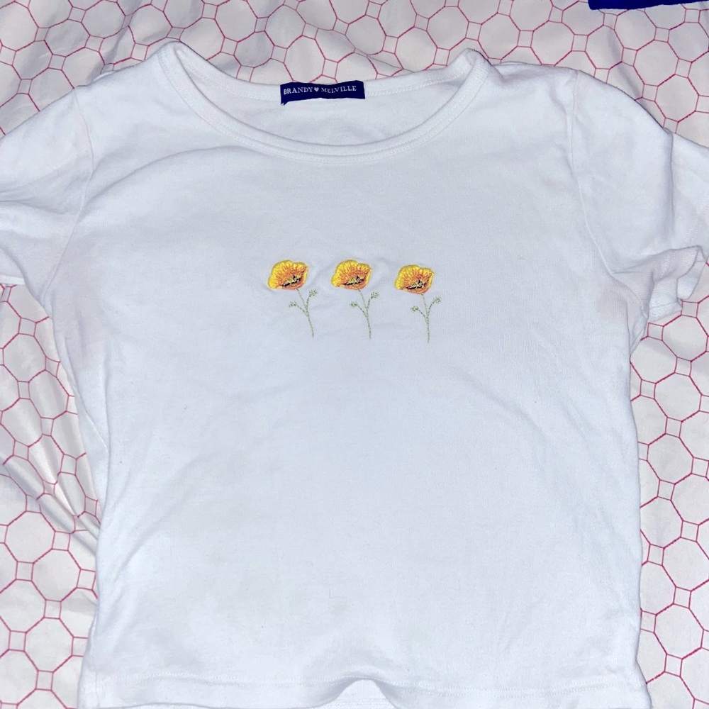 Brandy Melville Flower Crop Top